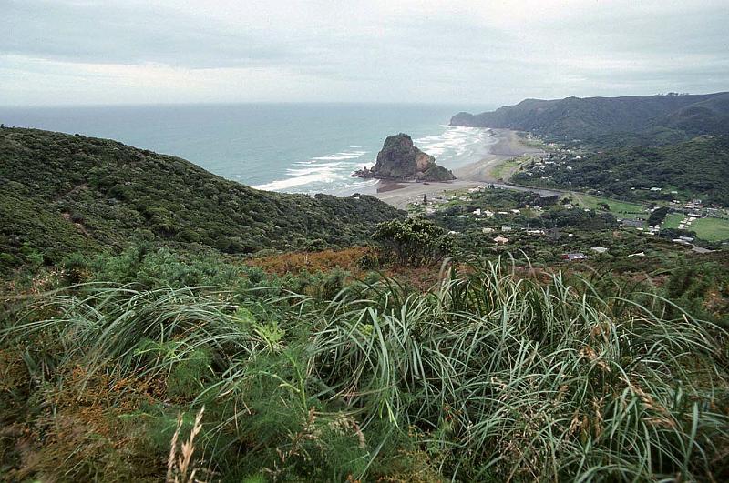 WT 0200 010-19 New Zealand.jpg